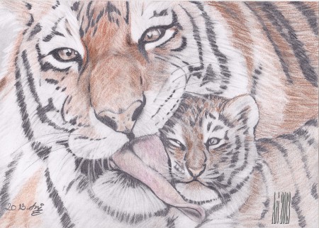 Anyatigris 2.. puszika :) A4 színes rajzom.